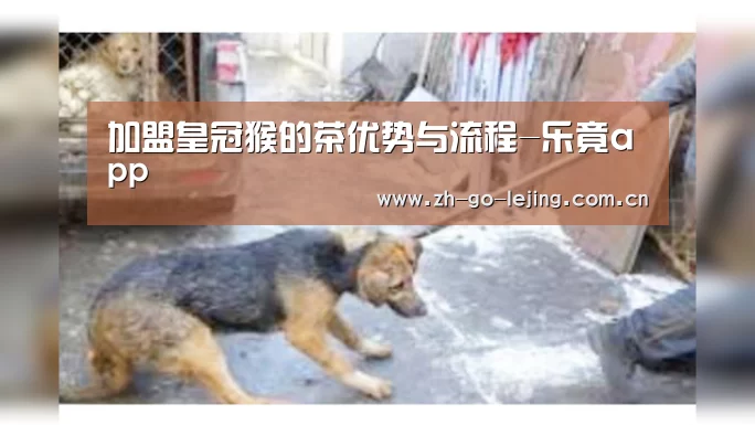 加盟皇冠猴的茶优势与流程-乐竟app(图2) 乐竟app